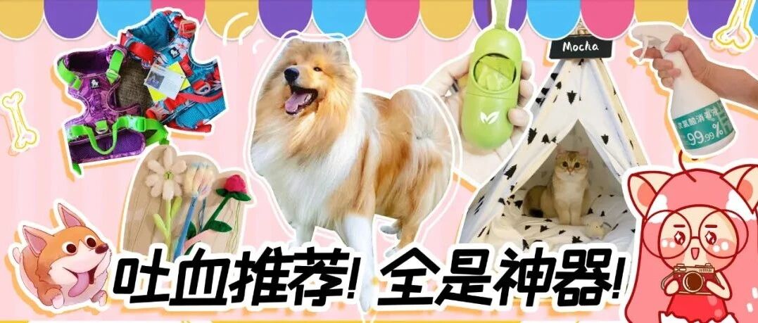 12件私藏好物！下周放假就用起来！！！