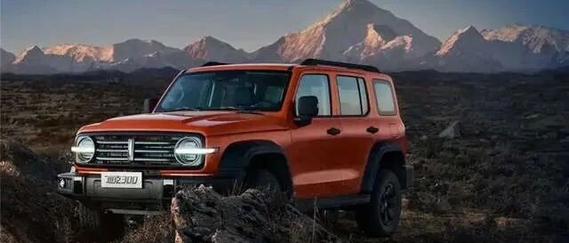 全系标配2.0T+分时四驱，坦克300到底哪款更值？