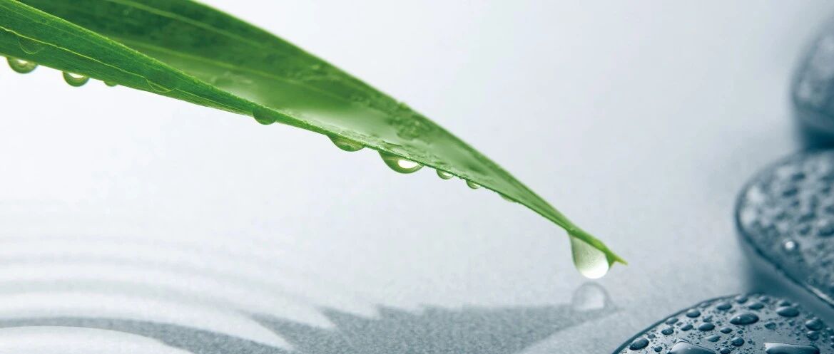 周末文摘 | 中国特色监管科学的理论创新与学科构建