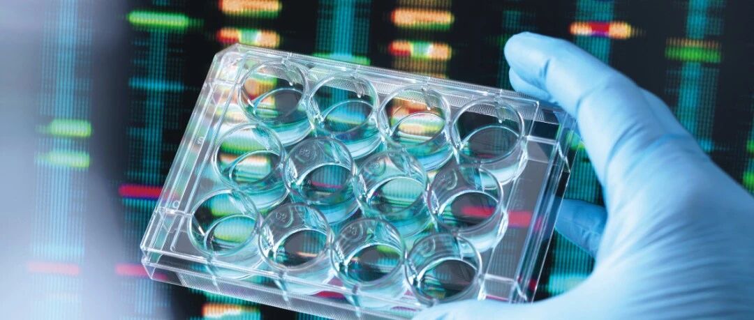 周末文摘 | 调释制剂仿制药生物等效性研究要求