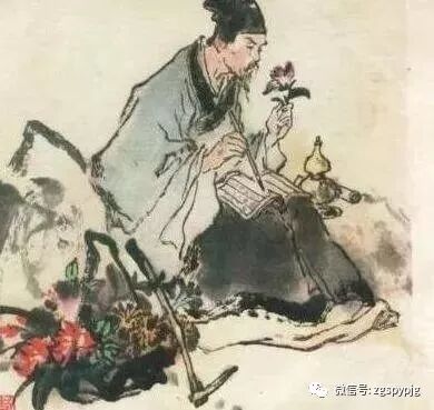 救荒本草下载_救荒本草是哪个时期的谁编撰的_救荒本草校注