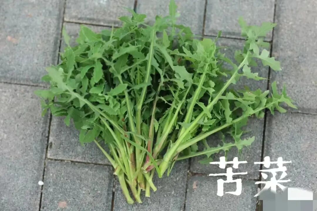 ​写给微信公众号的建议@微信公众号客服@微信公众号运营团队