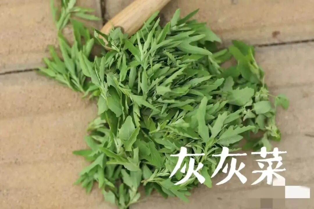 ​写给微信公众号的建议@微信公众号客服@微信公众号运营团队