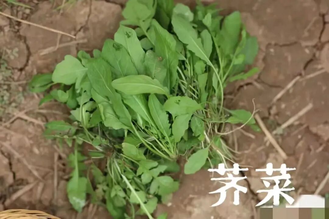 ​写给微信公众号的建议@微信公众号客服@微信公众号运营团队