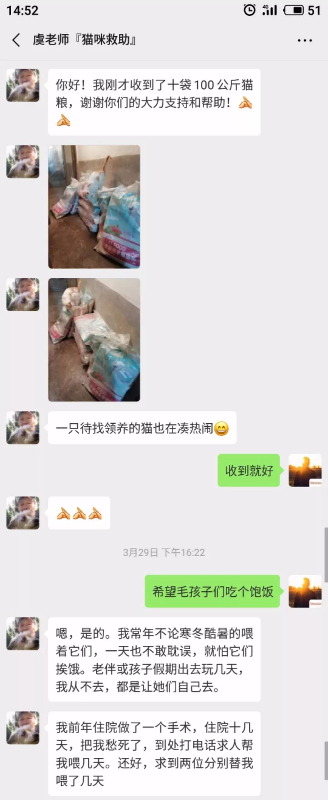 貓咪是很可愛，但總有些事情我們無法面對... 寵物 第8張