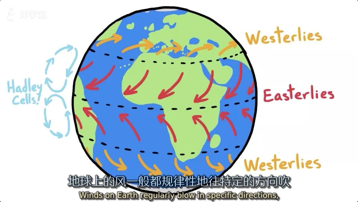 为什么鸟类迁徙不飞直线 译学馆 微信公众号文章阅读 Wemp