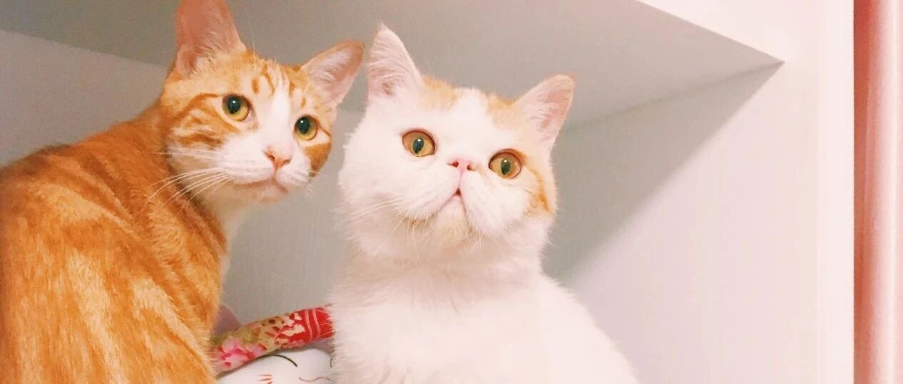 我高中辍学打工，没花过家里一分钱，父母要我给他们生活费抚养弟弟，我该给吗?