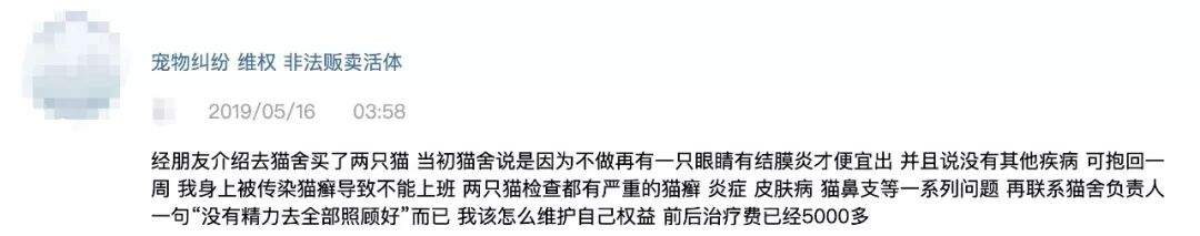女子花2600元买猫后染上猫癣,在猫舍买回的猫给我传染了猫癣，导致我不能上班，花了500..