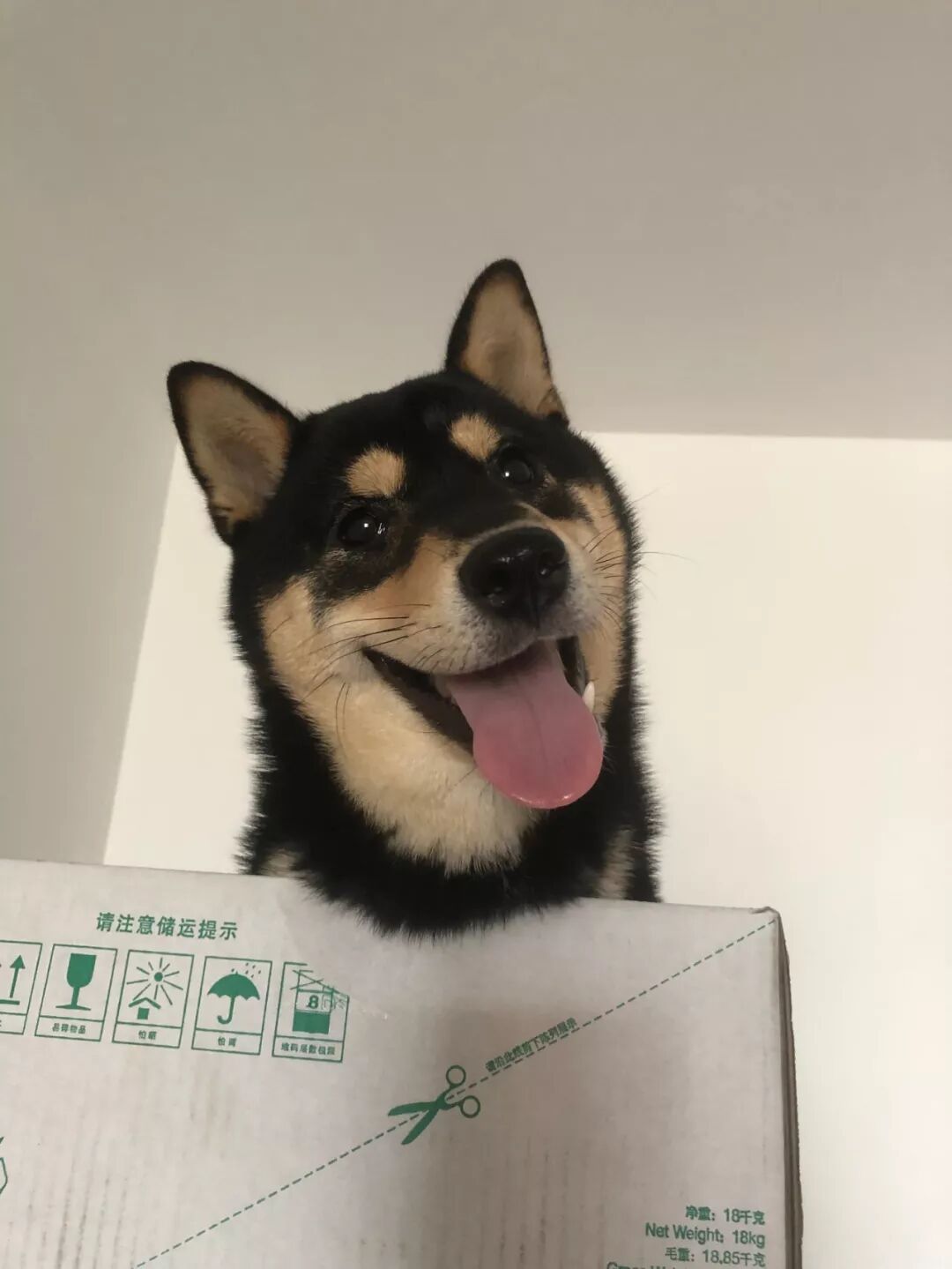 Cctv今日说法 自由微信 Freewechat