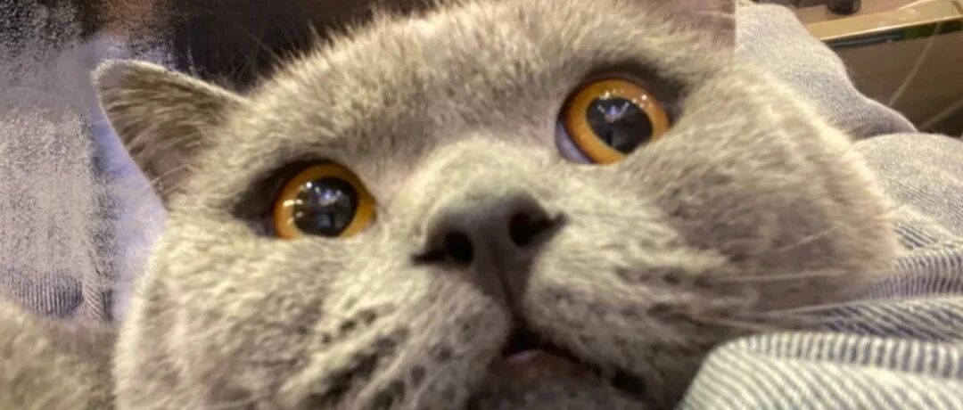 初中生做美甲后没付钱，为了索要费用，店老板将他们身份信息发到了朋友圈，这种情况该怎么办？