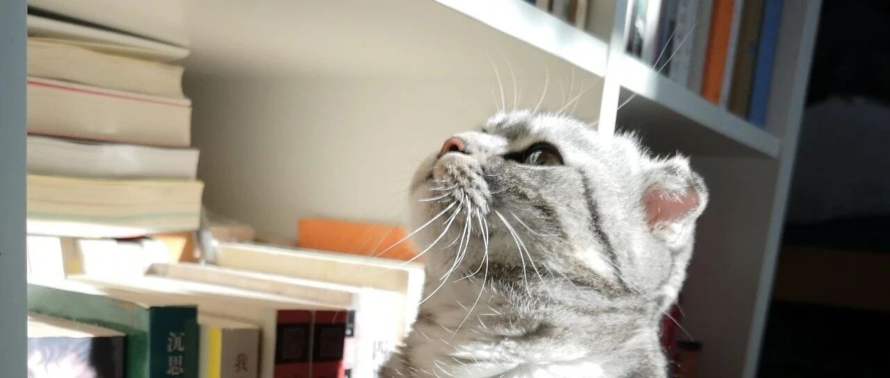 一方出轨就净身出户，这样的保证书有法律效力吗?|《民法典》