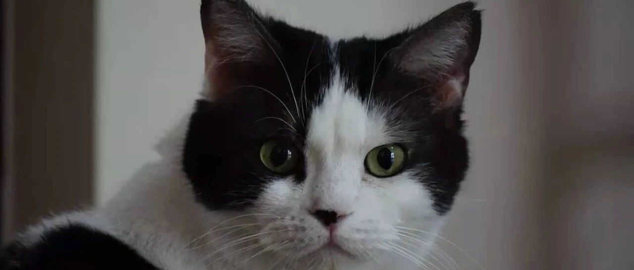 承诺购房九八折，现在折扣没了，两万定金也打了水漂，我该如何维权？