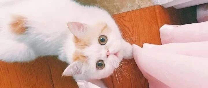 被人酒后打伤，私下协商赔偿20万元后，公安机关还要追究打人者的刑事责任，我们该怎么办？