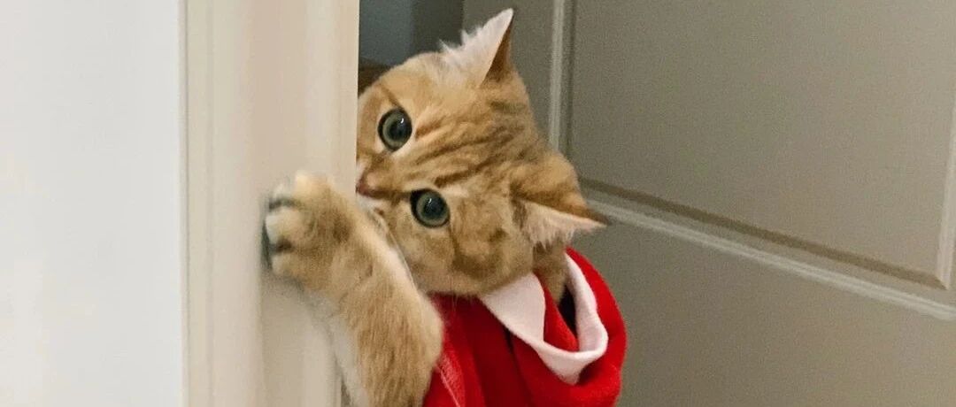 我跟前男友交往一个月后，他经常找我借钱，分手后我查出重病，他不肯还钱，我该怎么办？