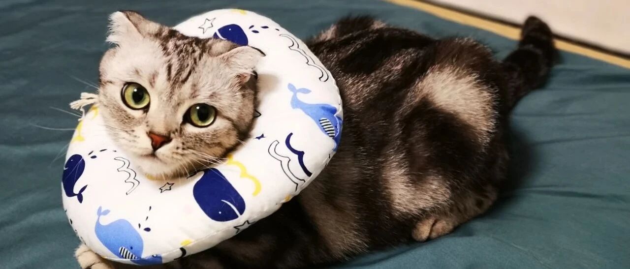 结婚前和男友协议房子为共同财产，如果分手了，这个协议有效吗？