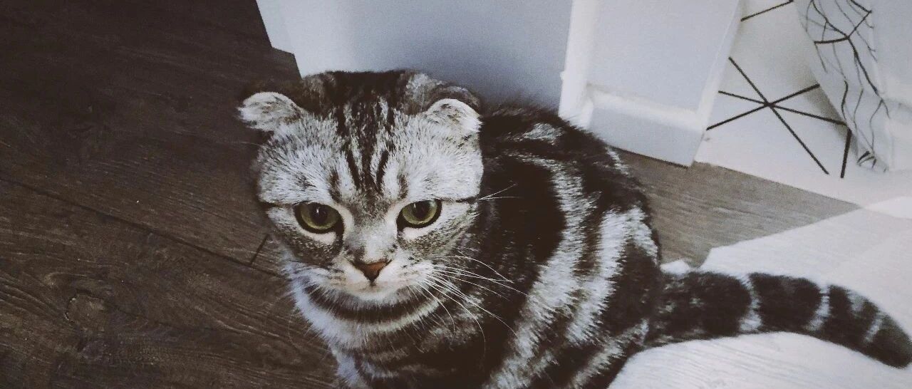 十几年工资全都借给姐姐做生意，现在我有困难她却不愿还钱，怎么办？