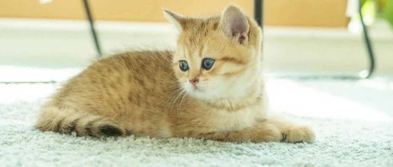 为了结婚，来到女友所在城市工作，用她的名义买房，我该如何证明房子是我们的共同财产