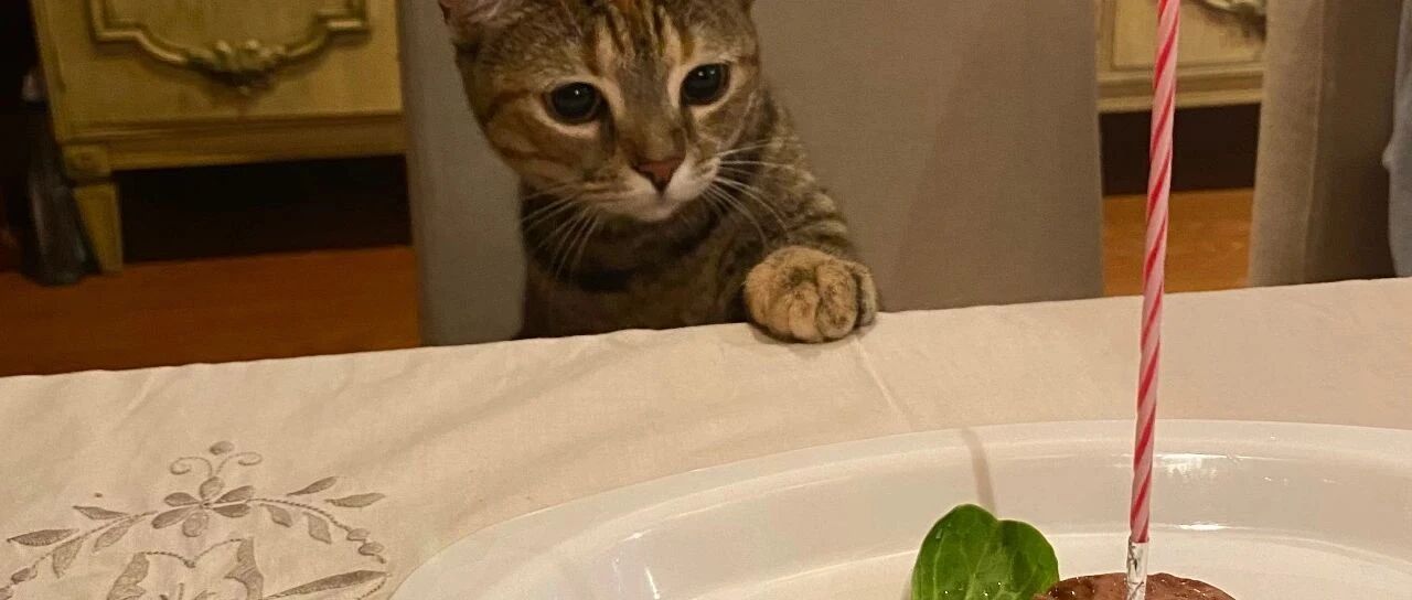 曾隐瞒有孩子，后又隐瞒不孕，结婚不到半年她闹了7次离婚......