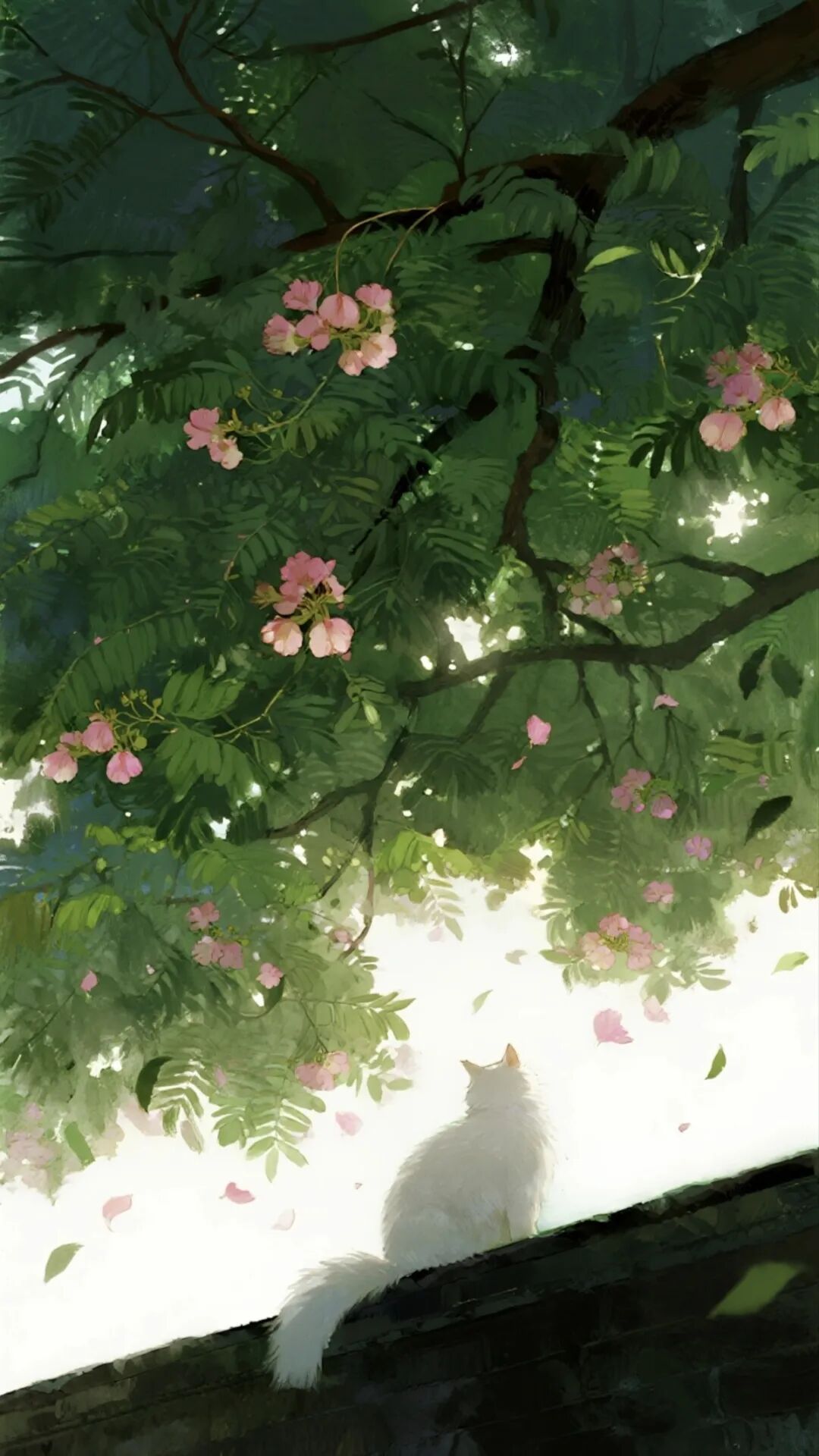 Wallpaper 壁纸 ｜春日限定，与花共眠