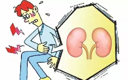 世界肾脏日中医专家教您养肾护肾