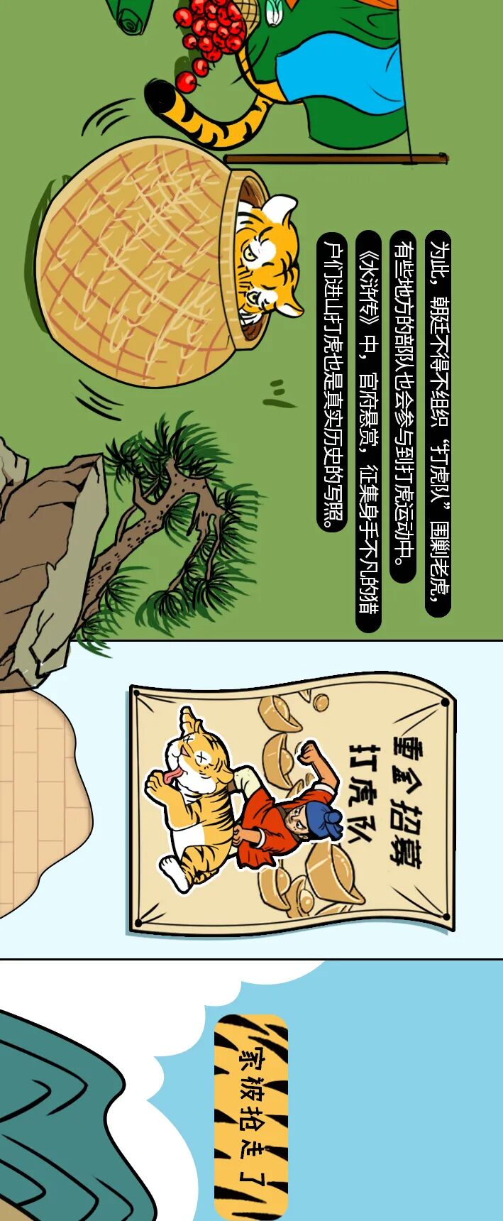 黄色皮毛上有规律地分布着黑色条纹,这些黑色条纹遍布老虎全身并延伸