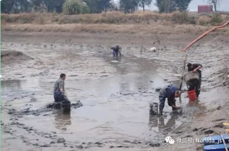 12月份螃蟹养殖户除了清塘,还需要做好哪些工作?