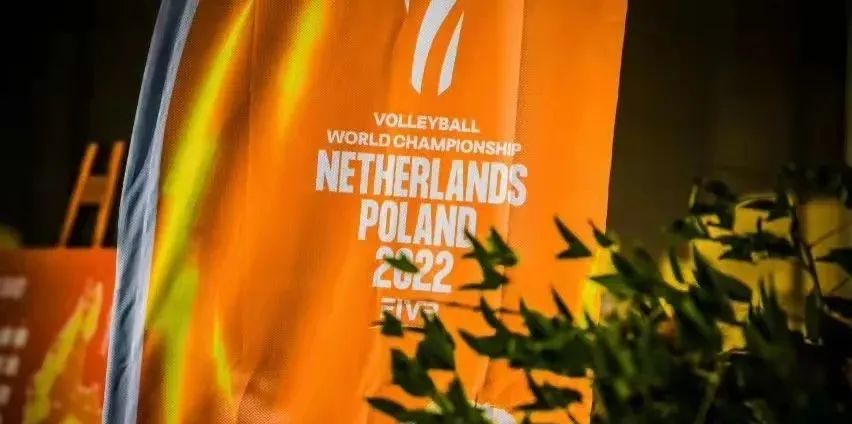 荷兰队2022世界杯_荷兰维特斯队标示_2022年世界杯小组多少个队