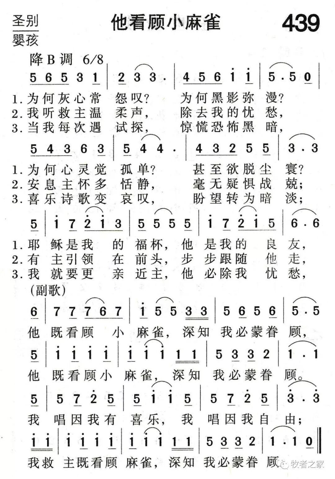 祂既看顾小麻雀 牧者之家 微信公众号文章阅读 Wemp