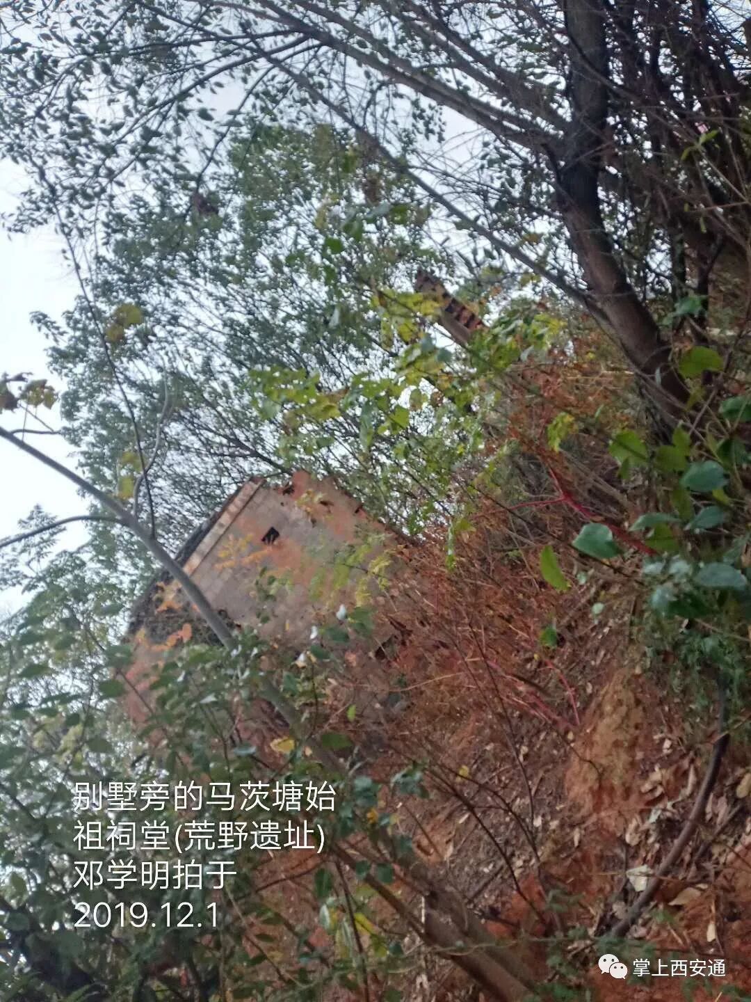邓学明：江西抚州临川马茨塘寻根记（三）