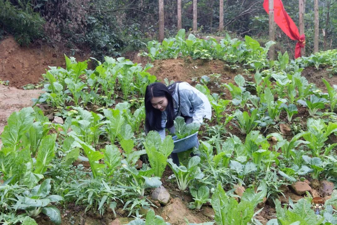 生蚝鹅蛋可以煎这吃吗_福州吃生蚝_妹妹叫我吃他的生蚝