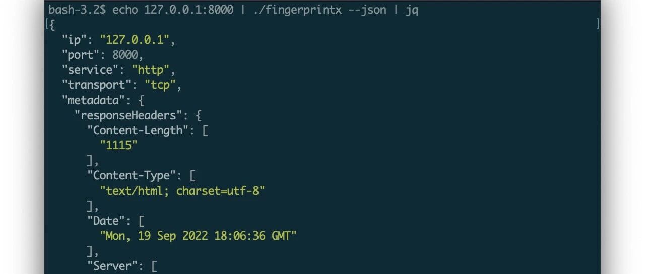 Example Image