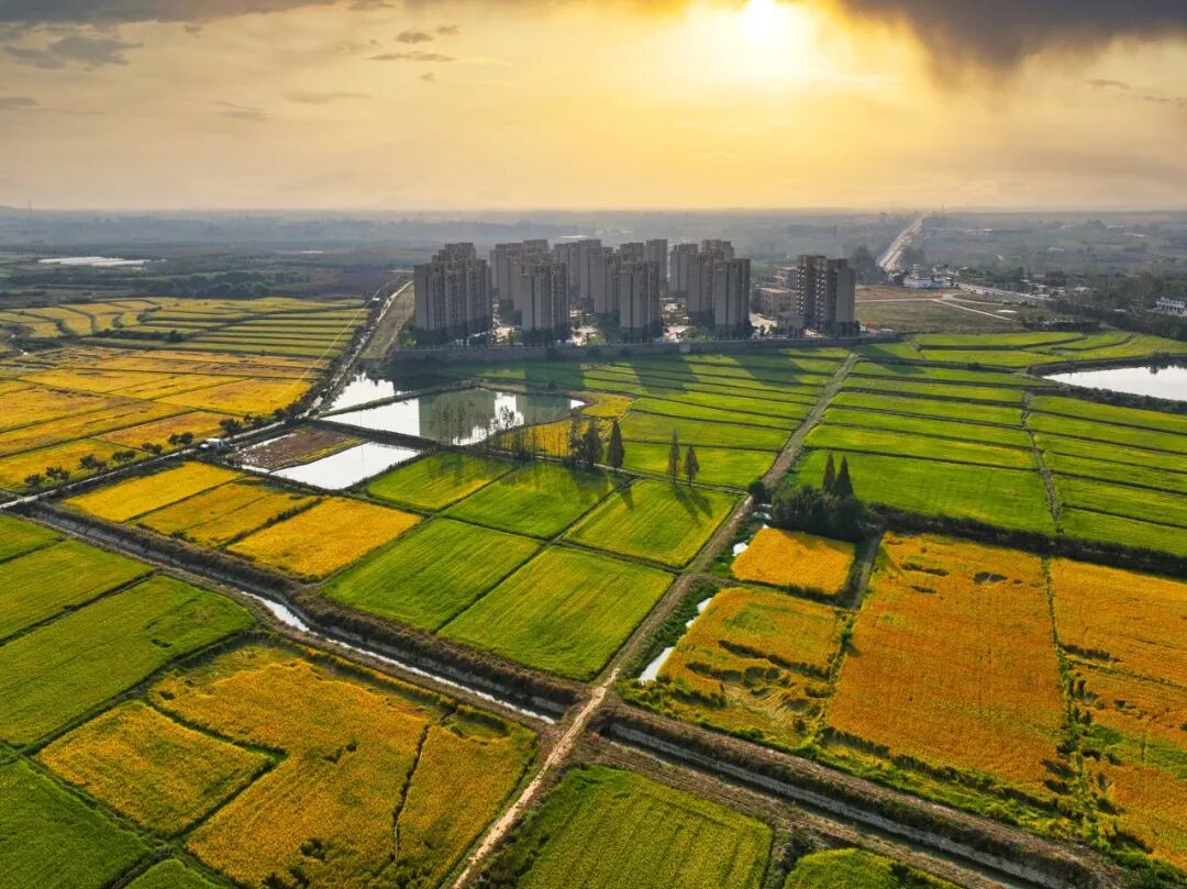 定格肥西的醉美秋光_安徽网