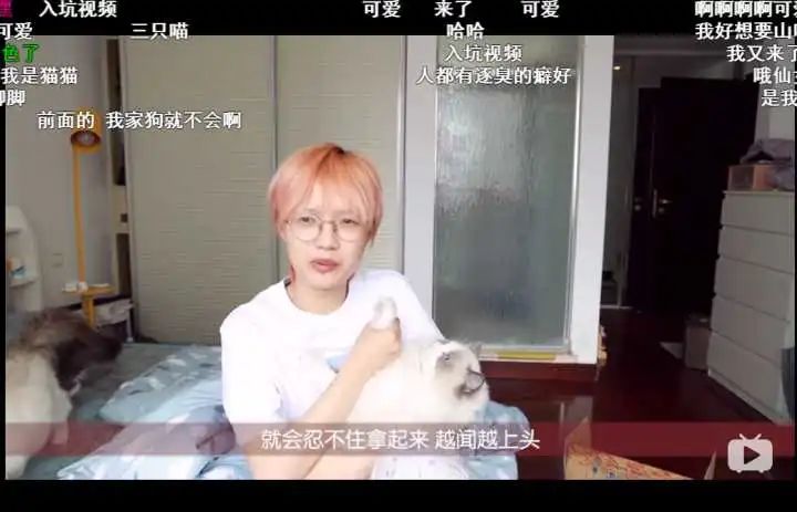 知乎高赞回答:B站上有哪些你舍不得分享的良心有趣搞笑UP主?(图32)