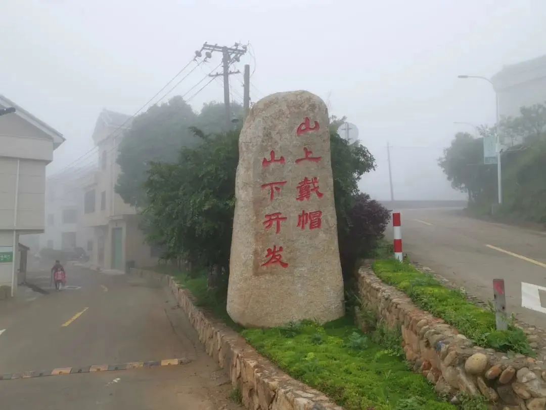 村医致富经_村医致富经免费完整版ab_村医致富经小说阅读