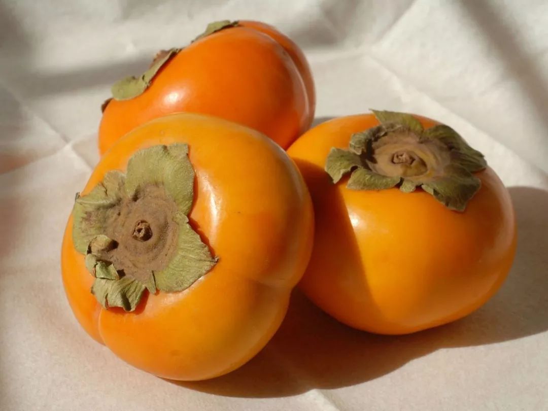 秋冬季吃柿子，胃石症為什麼總被發現？！要注意些什麼？！ 健康 第5張