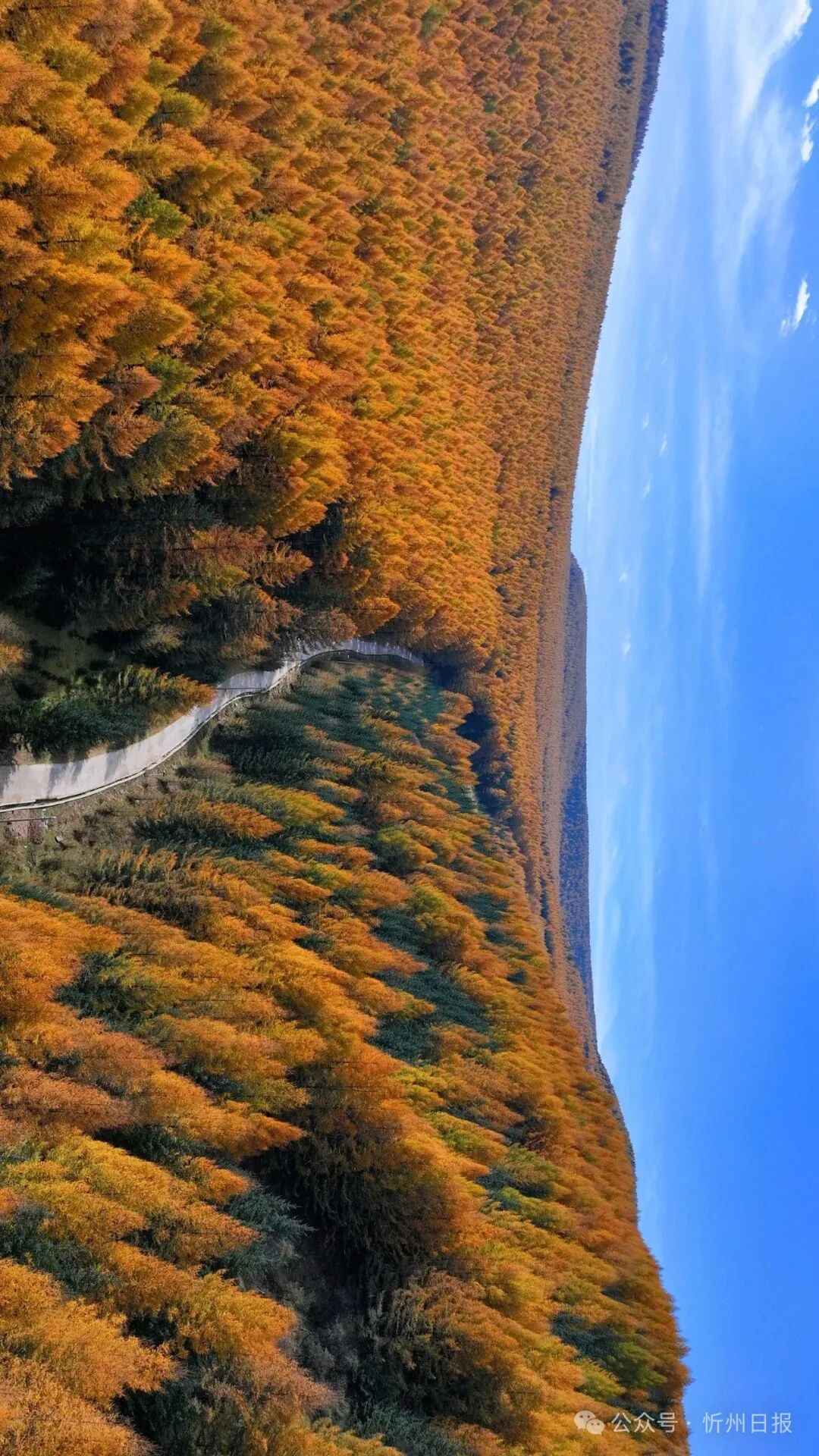 管涔山:华北大地上的山水传奇