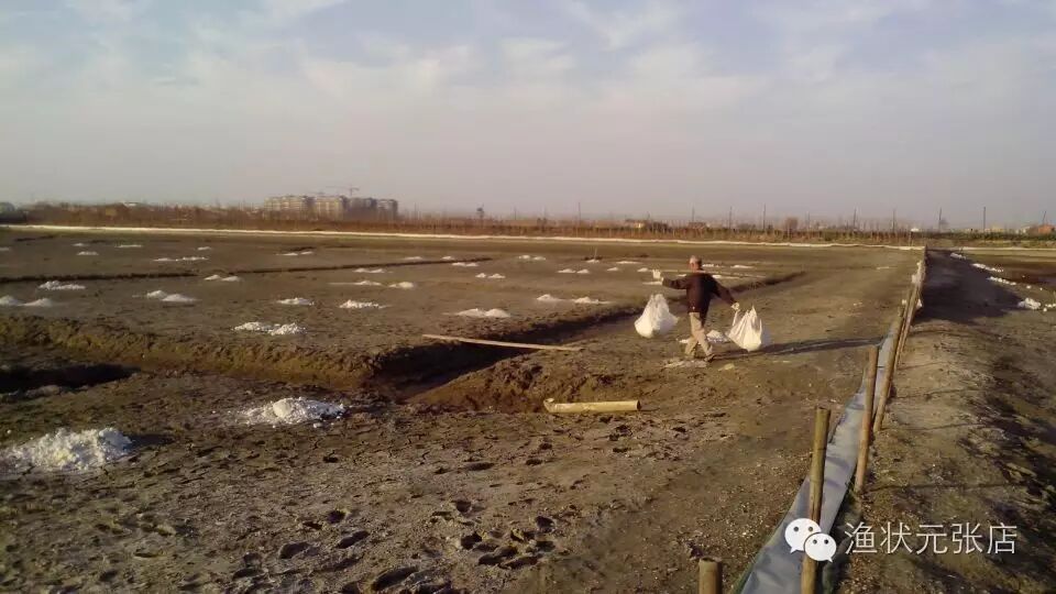 信息化下的蟹塘养殖,要取舍有道(附苏南清塘方案)