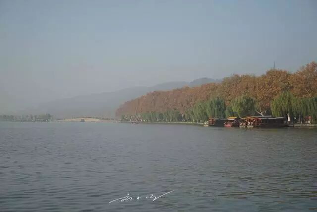 抗雾霾，首选喝白茶！