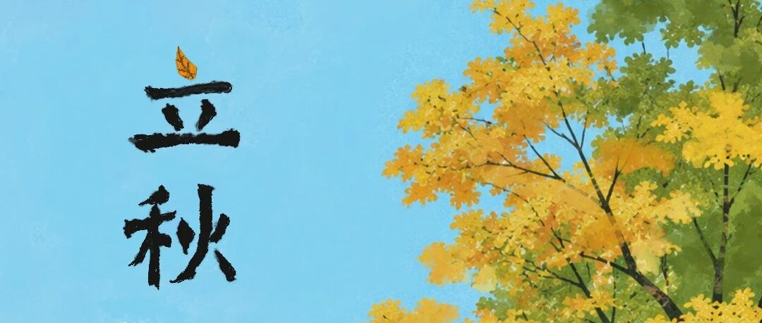 cover_image
