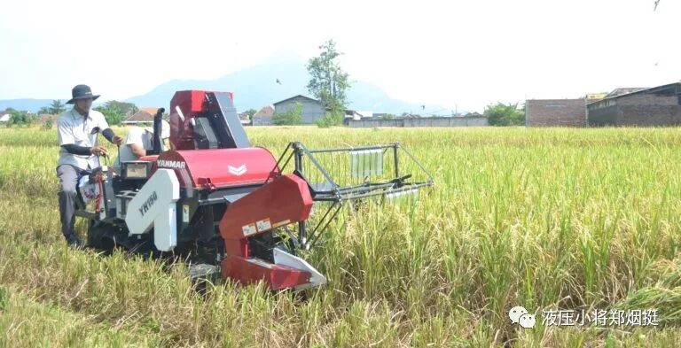 小型水稻收割机