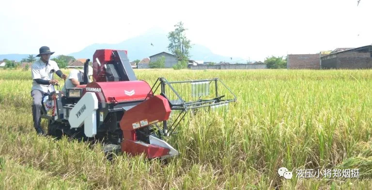 小型水稻收割機 小型水稻收割機