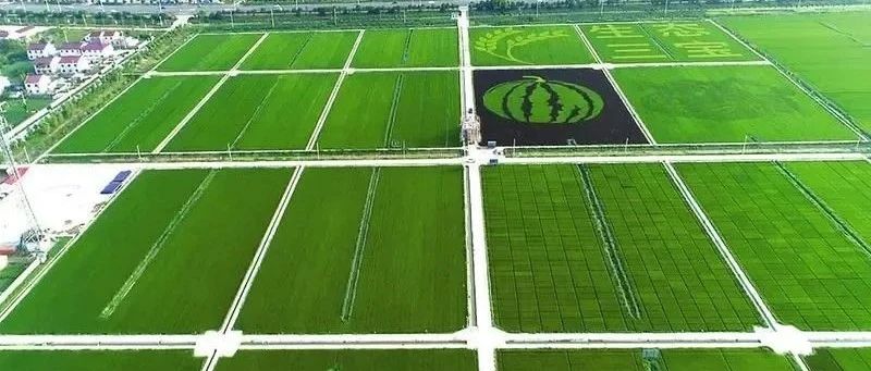 2022年洛宁县1.9万亩高标准农田建设项目招标公告