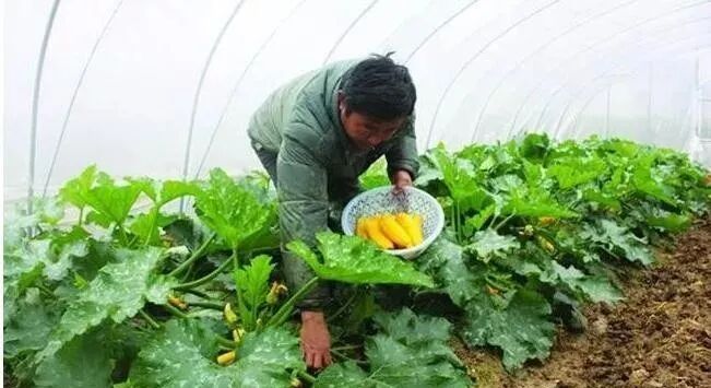 创业项目创业好项目_冷门小资本创业项目_小创业项目穷人