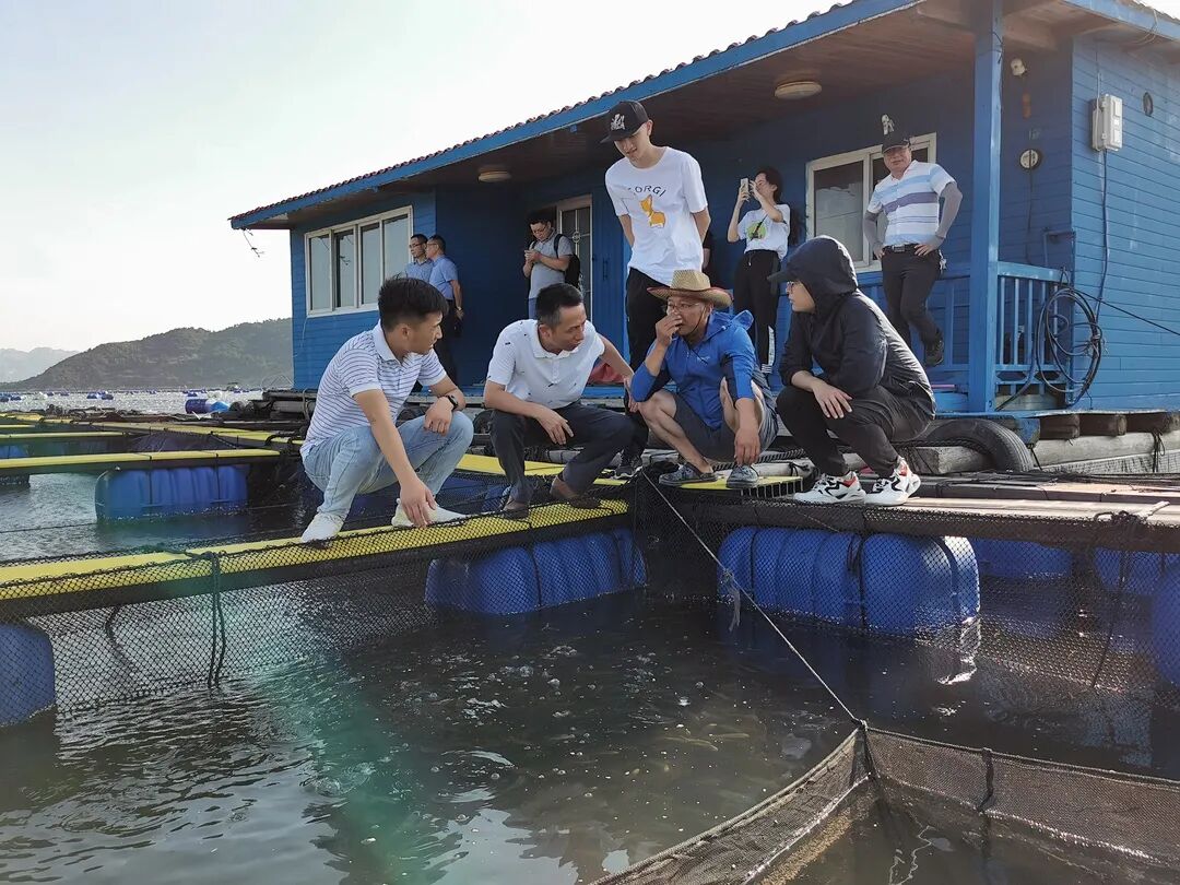 食品类品牌_食品类创业项目_创业项目排行榜创业项目加盟店