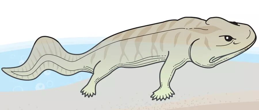 小课堂 你知道这些远古生物吗 绿书签 微信公众号文章阅读 Wemp