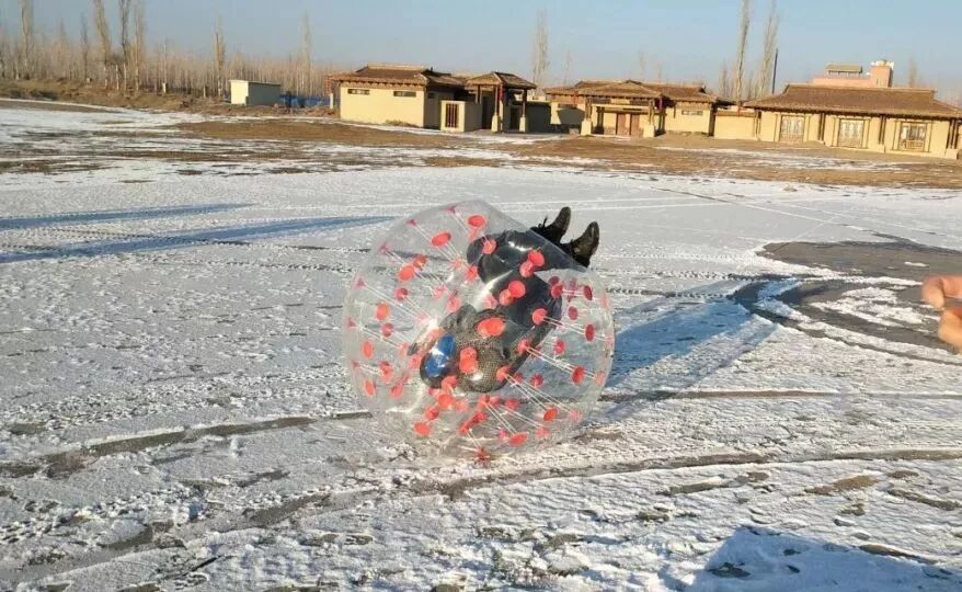 沙漠图怎么打_图开沙漠_沙漠图开车上山