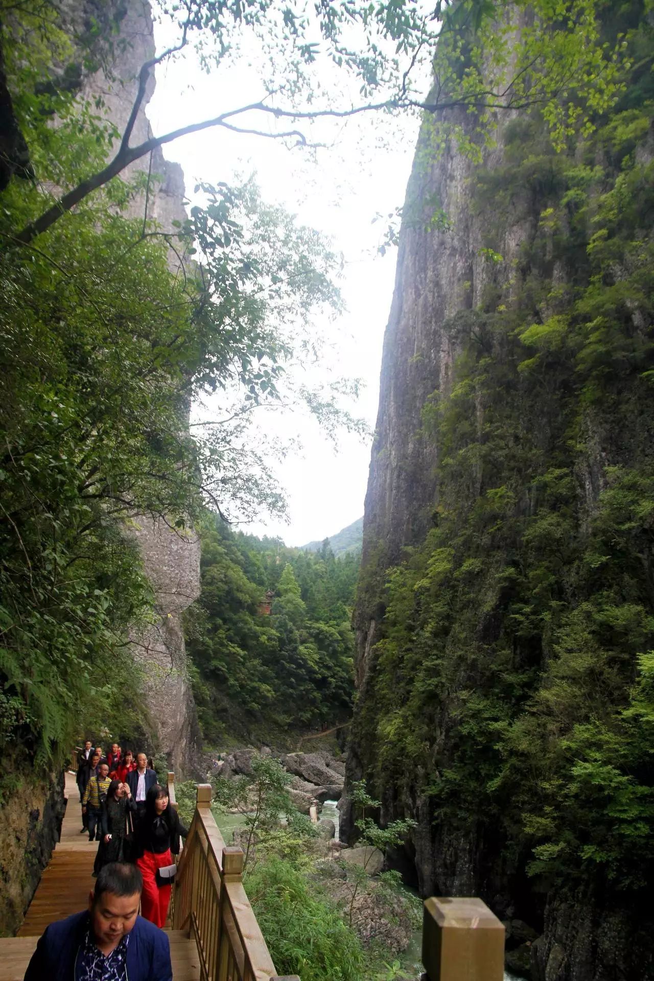 光雾山红叶节—小巫峡景区游玩攻略！-南江论坛-麻辣社区 四川第一网络社区 你的言论 影响四川