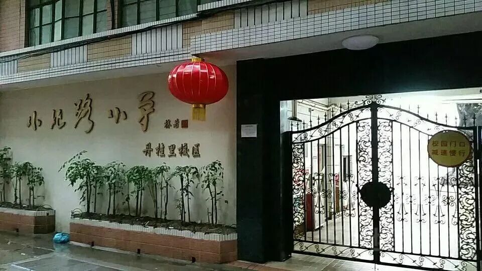 深圳十大私立贵族中学_深圳十大私立贵族学校排名_贵族私立排名深圳学校有哪些