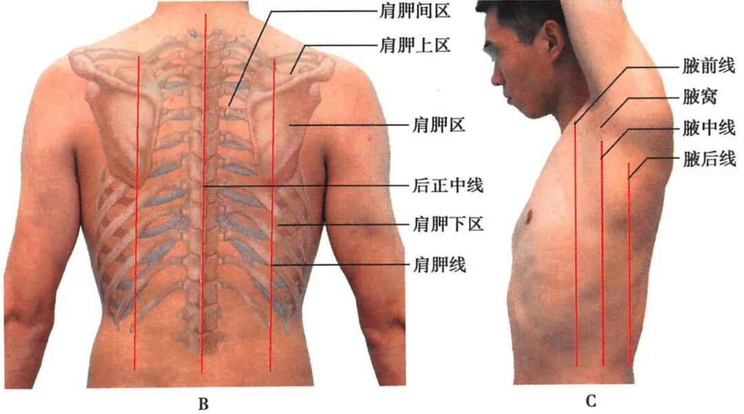 心电图12导怎么组成儿童心电图操作（常规12导联）_https://www.jmylbn.com_新闻资讯_第9张