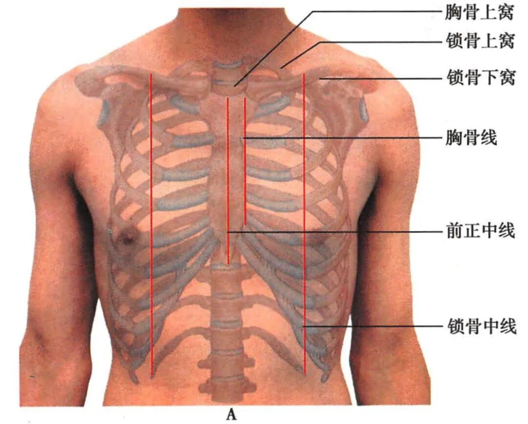 心电图12导怎么组成儿童心电图操作（常规12导联）_https://www.jmylbn.com_新闻资讯_第8张